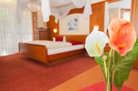 ParkBad Faulenbach - 71