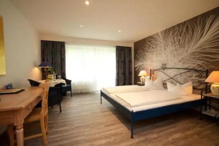 Aktiv Schweiger - 36