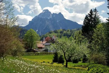 hideautss Der Rosengarten. - 24