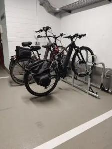 Restaurant Waldhorn - 17