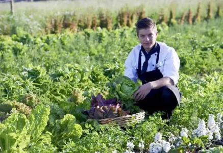 Mintrops Land Burgaltendorf - 27