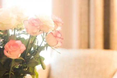 Bayerischer Hof - 53