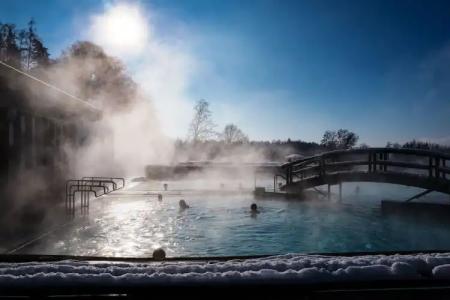 Ströbinger Hof - Therme Wellness Resort - 38