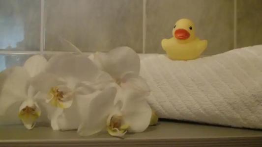 Cascade Superior - 12