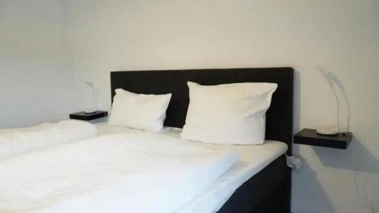 Specht by Trotmannia - 33