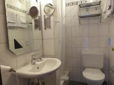 FerienSilberdistel garni - 29