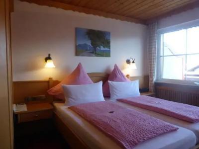 FerienSilberdistel garni - 32