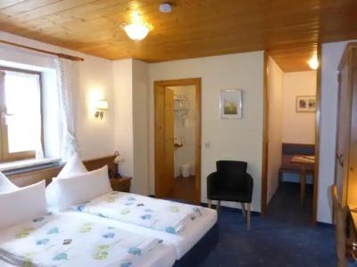 FerienSilberdistel garni - 30