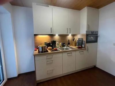 FerienSilberdistel garni - 21