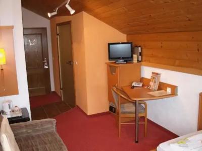 FerienSilberdistel garni - 19