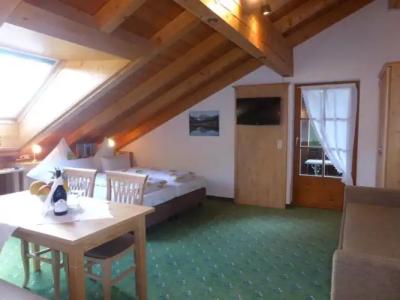 FerienSilberdistel garni - 63