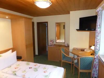 FerienSilberdistel garni - 34