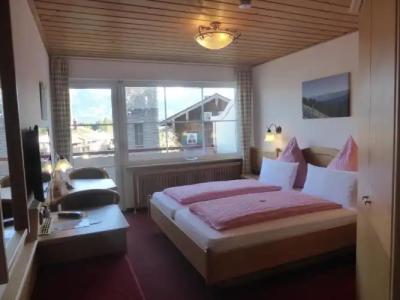 FerienSilberdistel garni - 27