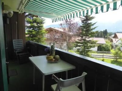 FerienSilberdistel garni - 55