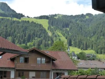 FerienSilberdistel garni - 26