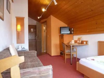 FerienSilberdistel garni - 17