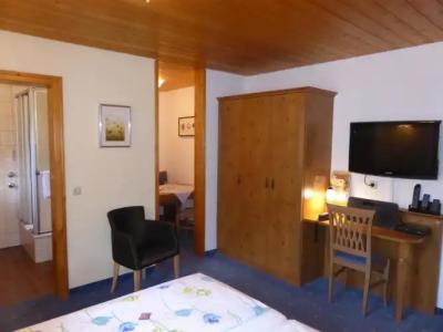 FerienSilberdistel garni - 28