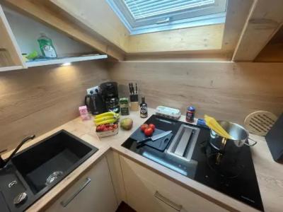 FerienSilberdistel garni - 14