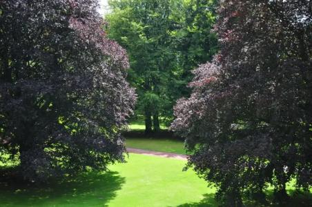 Welcome ParkBochum - 17