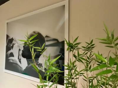 Wald & GolfLottental - 28