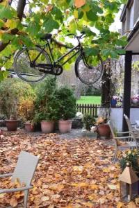 Jägerhof Garni - 14