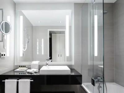 Pullman Berlin Schweizerhof - 60