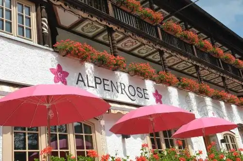 Alpenrose Bayrischzell - 0