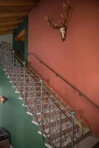 BergSonnenbichl - 15