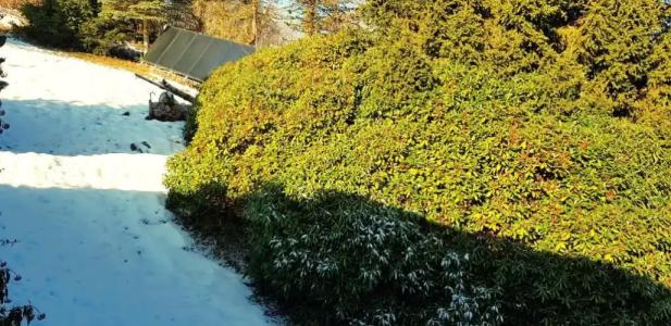 Pension Helvetia - 61