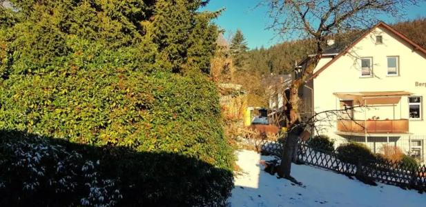 Pension Helvetia - 62