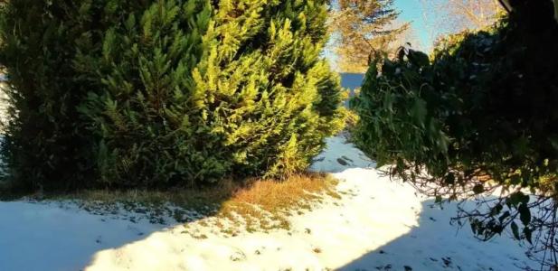 Pension Helvetia - 60