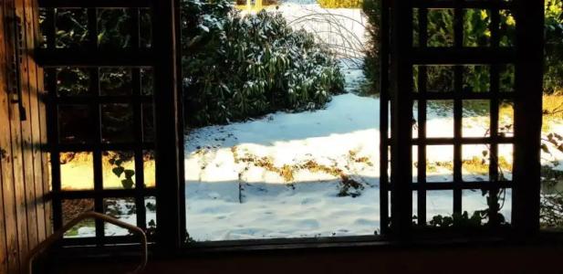 Pension Helvetia - 57