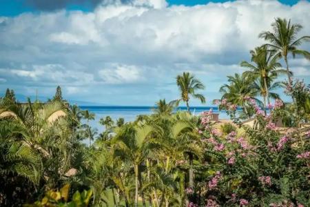 Wailea Ekahi 33D - 33