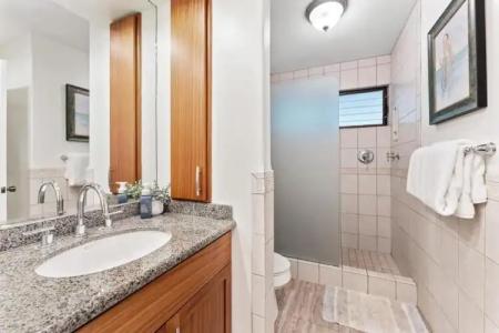 Wailea Ekahi 33D - 22