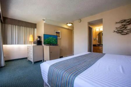 Aqua Aloha Surf Waikiki - 2