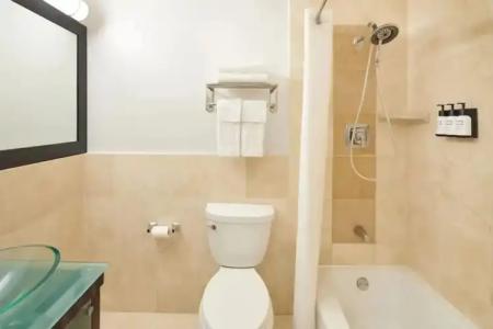 Palms at Waikiki 219 - 92