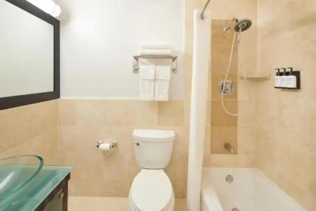 Palms at Waikiki 219 - 44