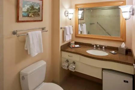 Hilton Hawaiian Village Waikiki Beach Resort - 23