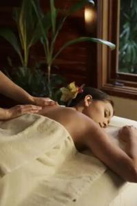 The Kahala & Resort - 29