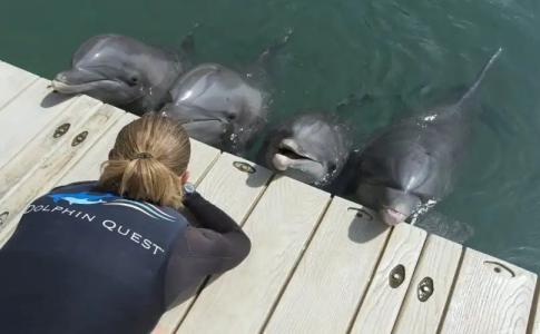 The Kahala & Resort - 27