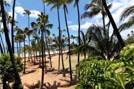 Kaimana Beach - 75