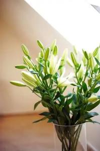 am Helmwartsturm - 36