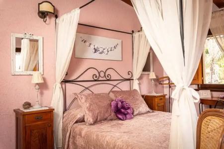 Relais Garden Cactus B&B - 93