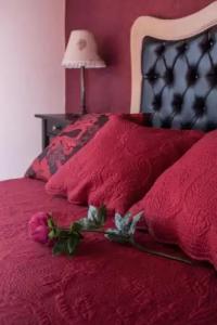 Relais Garden Cactus B&B - 4