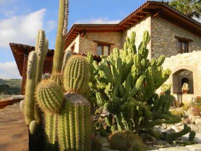 Relais Garden Cactus B&B - 31