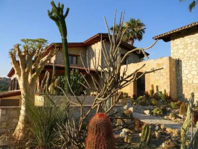 Relais Garden Cactus B&B - 17