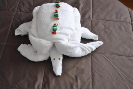 Stupor Mundi Bed and Breakfast - 60