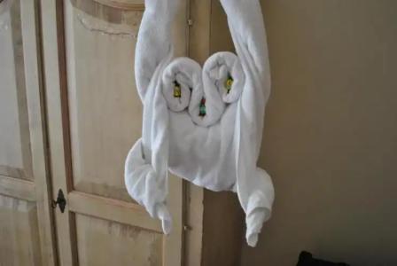 Stupor Mundi Bed and Breakfast - 78