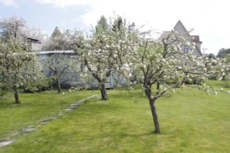Villa Marleen - 11