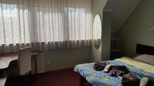 Terve Hostel - 15